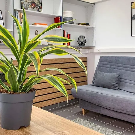 Daire Cosy Hyper Centre-ville Quimper