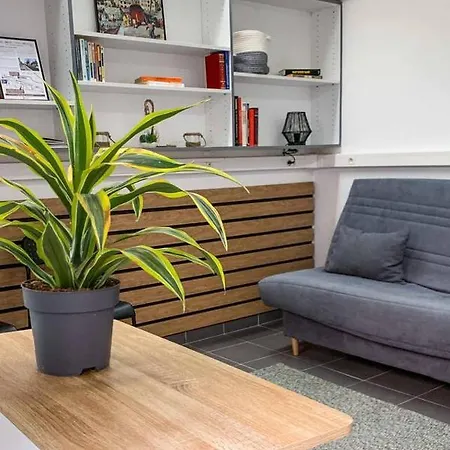 Cosy Hyper Centre-ville Daire